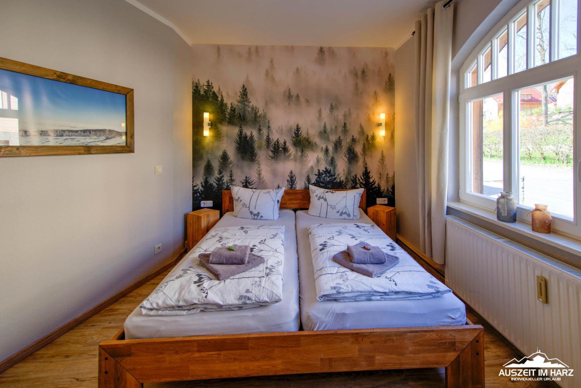 Auszeit Im Harz Haus 1 Wohnung Feuerstein Schierke Ngoại thất bức ảnh